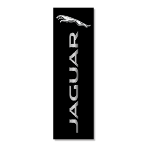 Jaguar 388